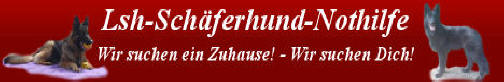 www.lsh-sch�ferhund-nothilfe.de